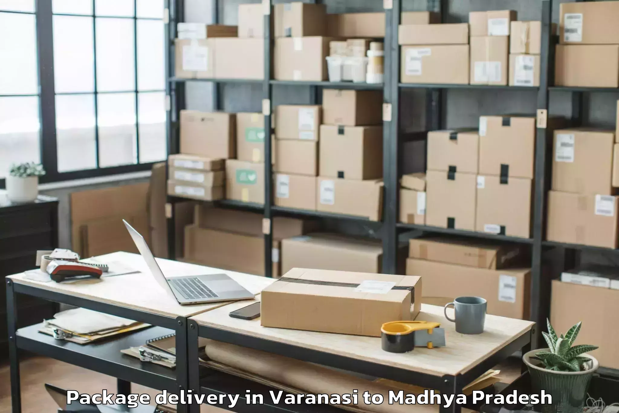 Easy Varanasi to Thikri Package Delivery Booking